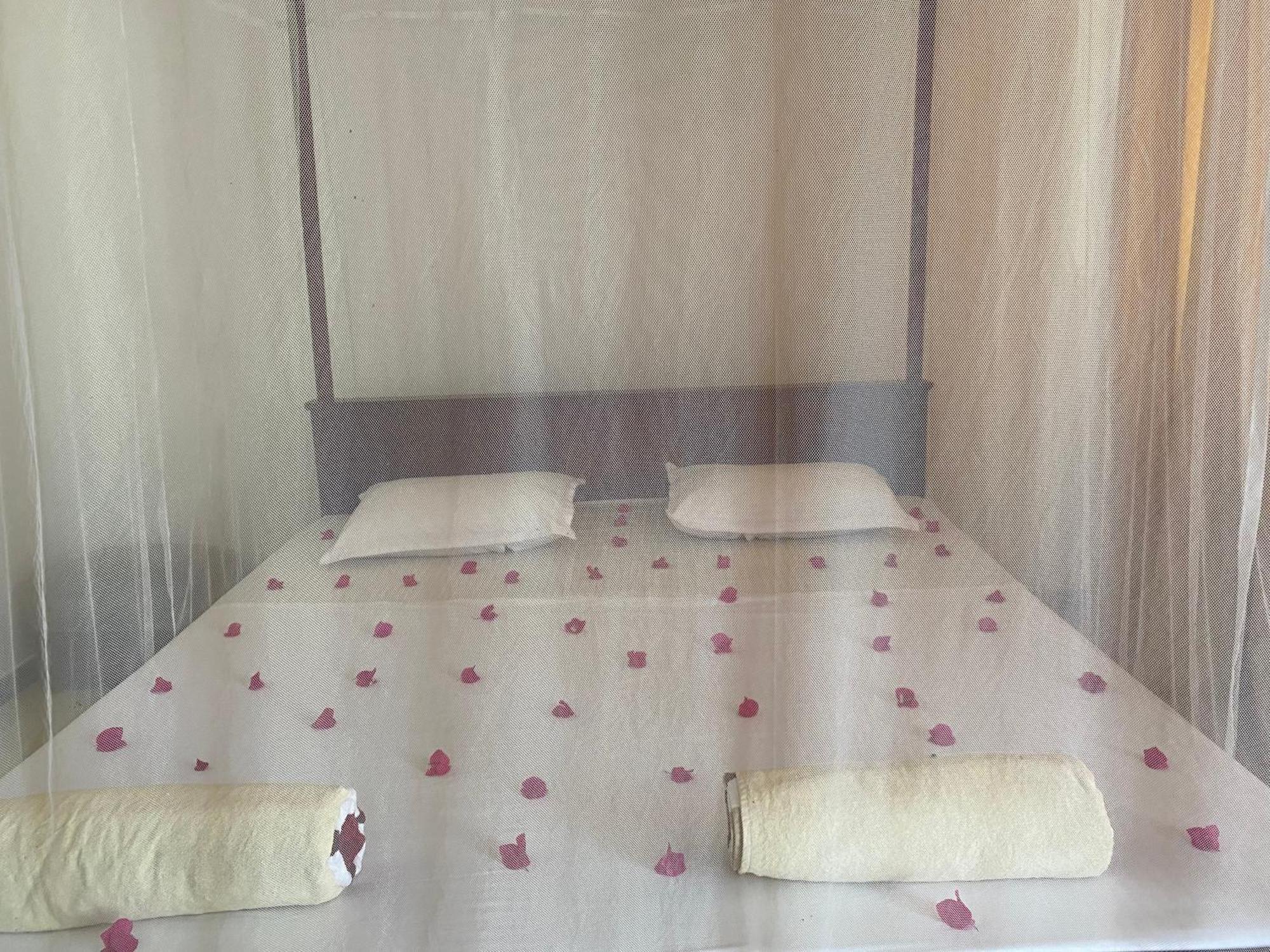 Talalla Ocean Beach Bungalow Matara Buitenkant foto