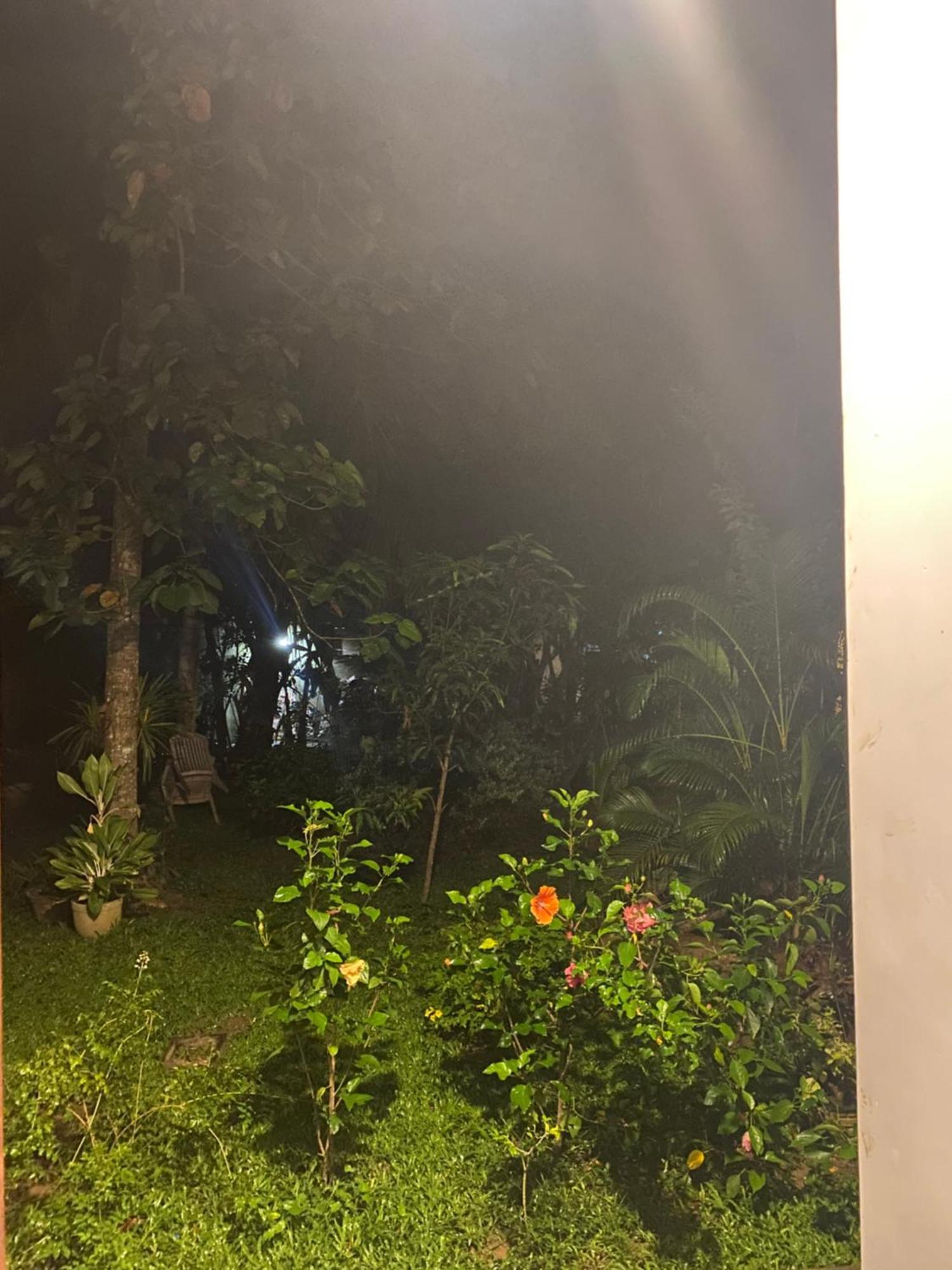 Talalla Ocean Beach Bungalow Matara Buitenkant foto